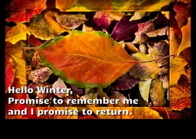 Hello-Winter-by-Marc-Blake-Photography-&-Video-Production